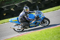 brands-hatch-photographs;brands-no-limits-trackday;cadwell-trackday-photographs;enduro-digital-images;event-digital-images;eventdigitalimages;no-limits-trackdays;peter-wileman-photography;racing-digital-images;trackday-digital-images;trackday-photos